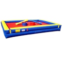 Party Rental Inflatable: Jousting Sports Interactive